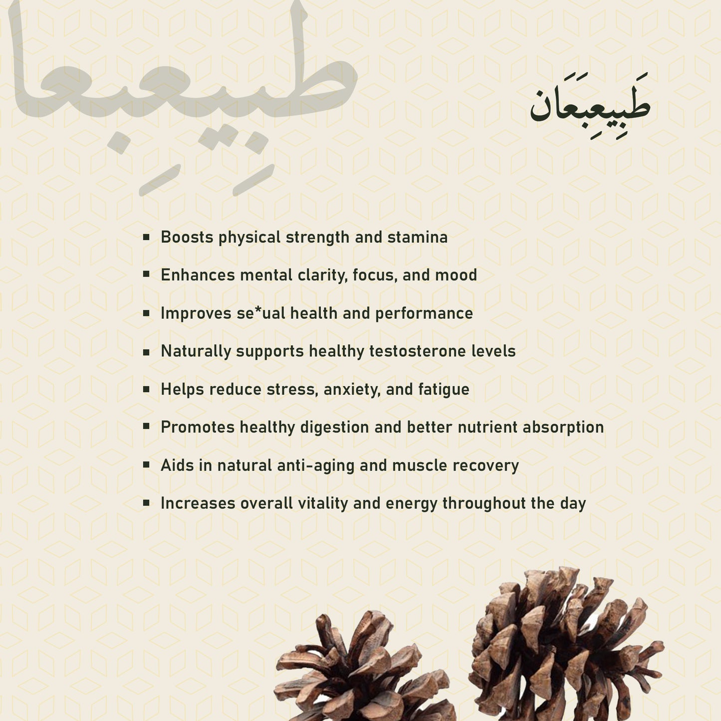 Kuwwat-e-Mardana